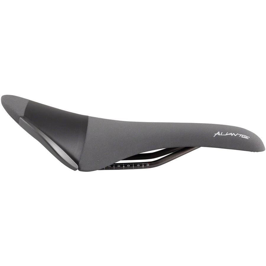 Black Saddle Q13902