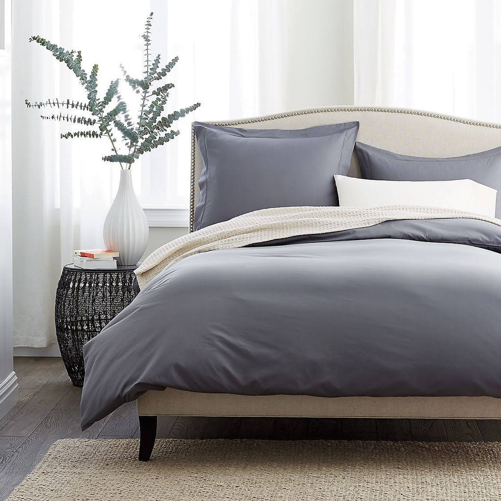 Ivory Euro Supima Cotton Percale Sham Z491818