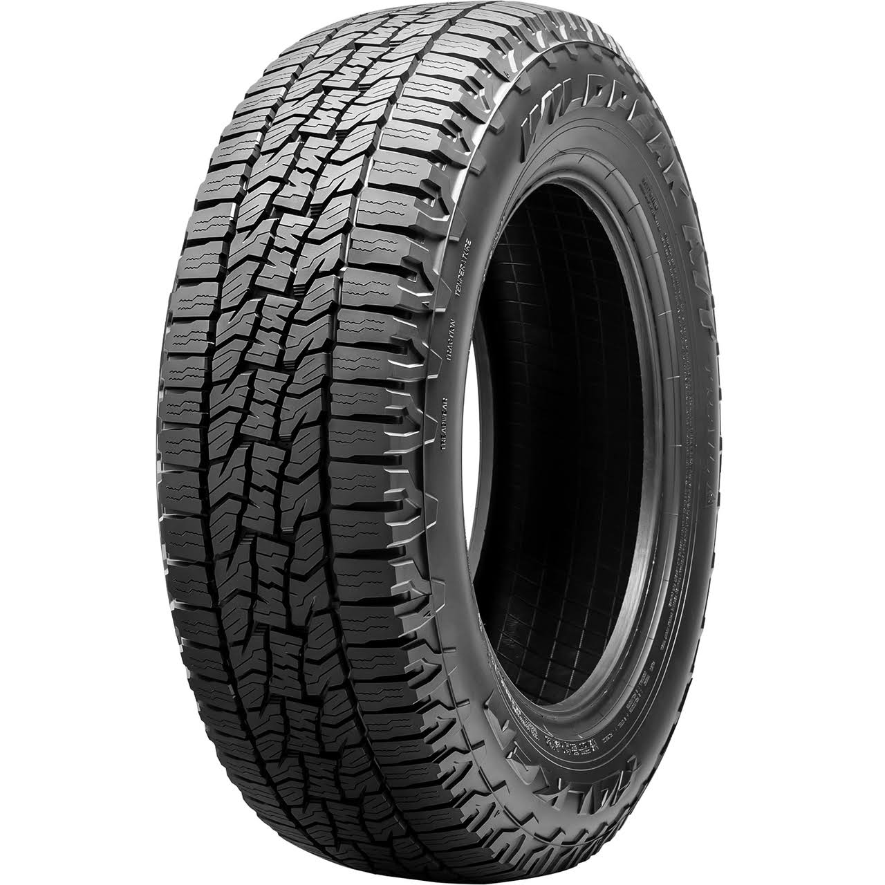 255/55R20 All-Terrain Tire N420099