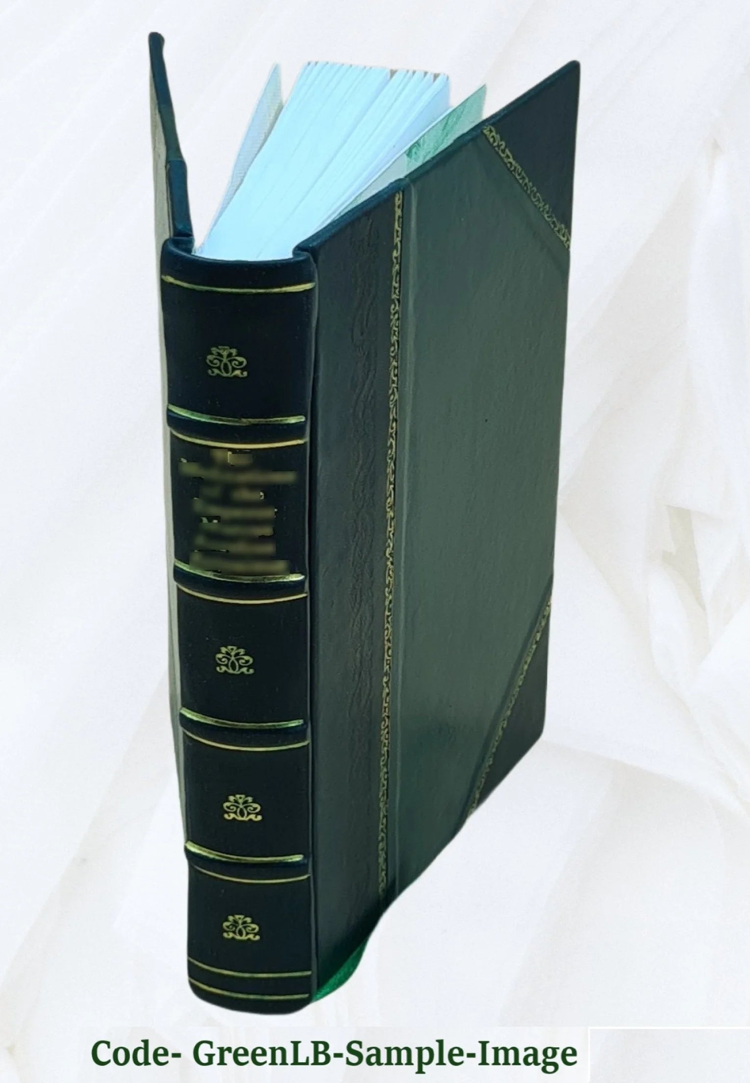 Leather Bound Book U470054