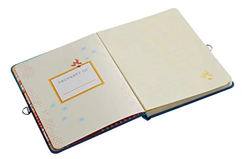 Glow-in-the-Dark Lock & Key Diary B422