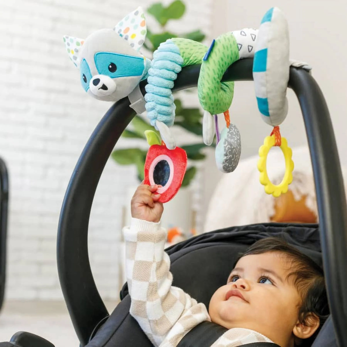 Multicolor Raccoon Activity Toy D5583