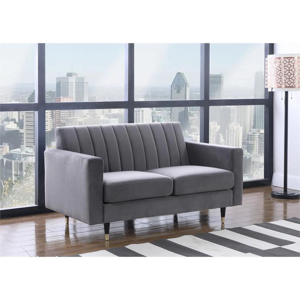 Contemporary Velvet Loveseat and Sofa T58771