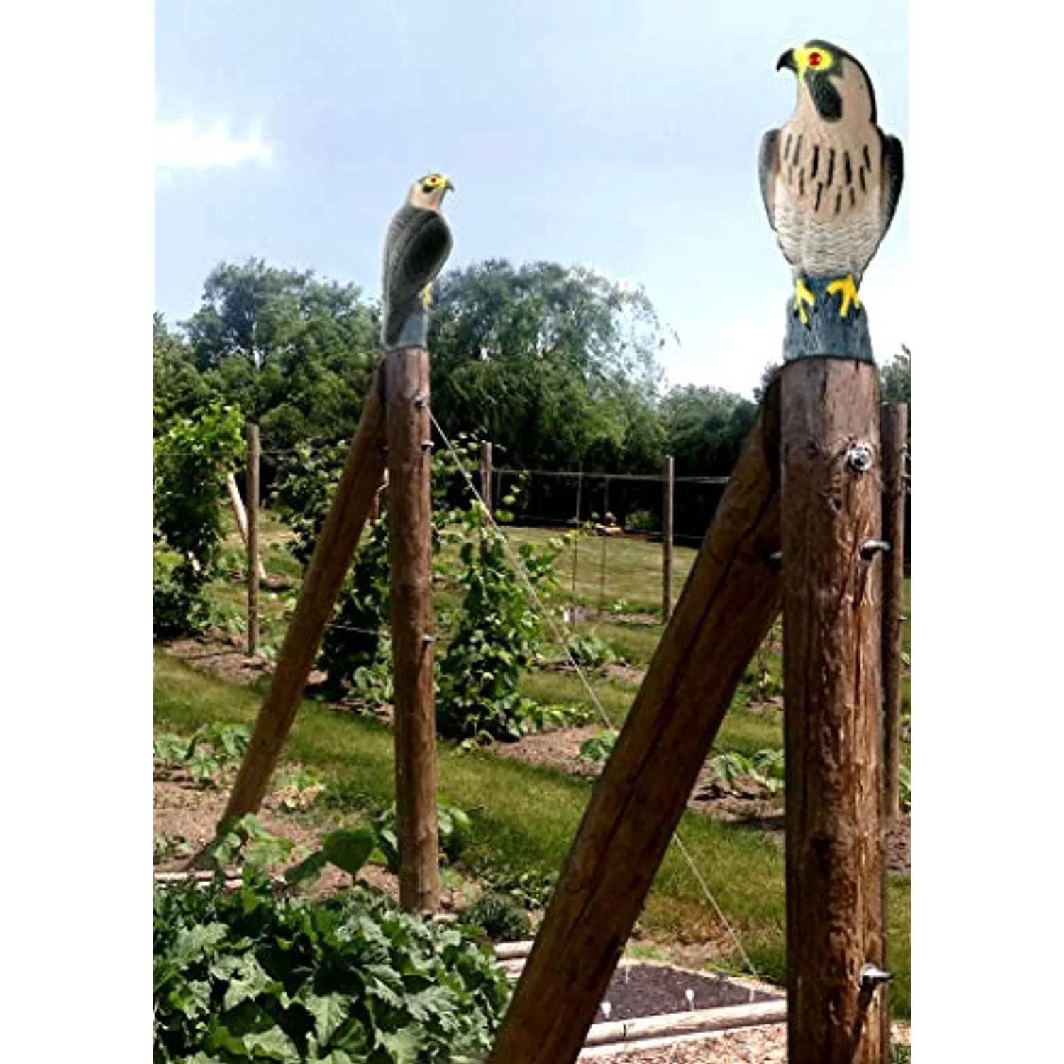 Owl Decoy Bird Repellent L9308