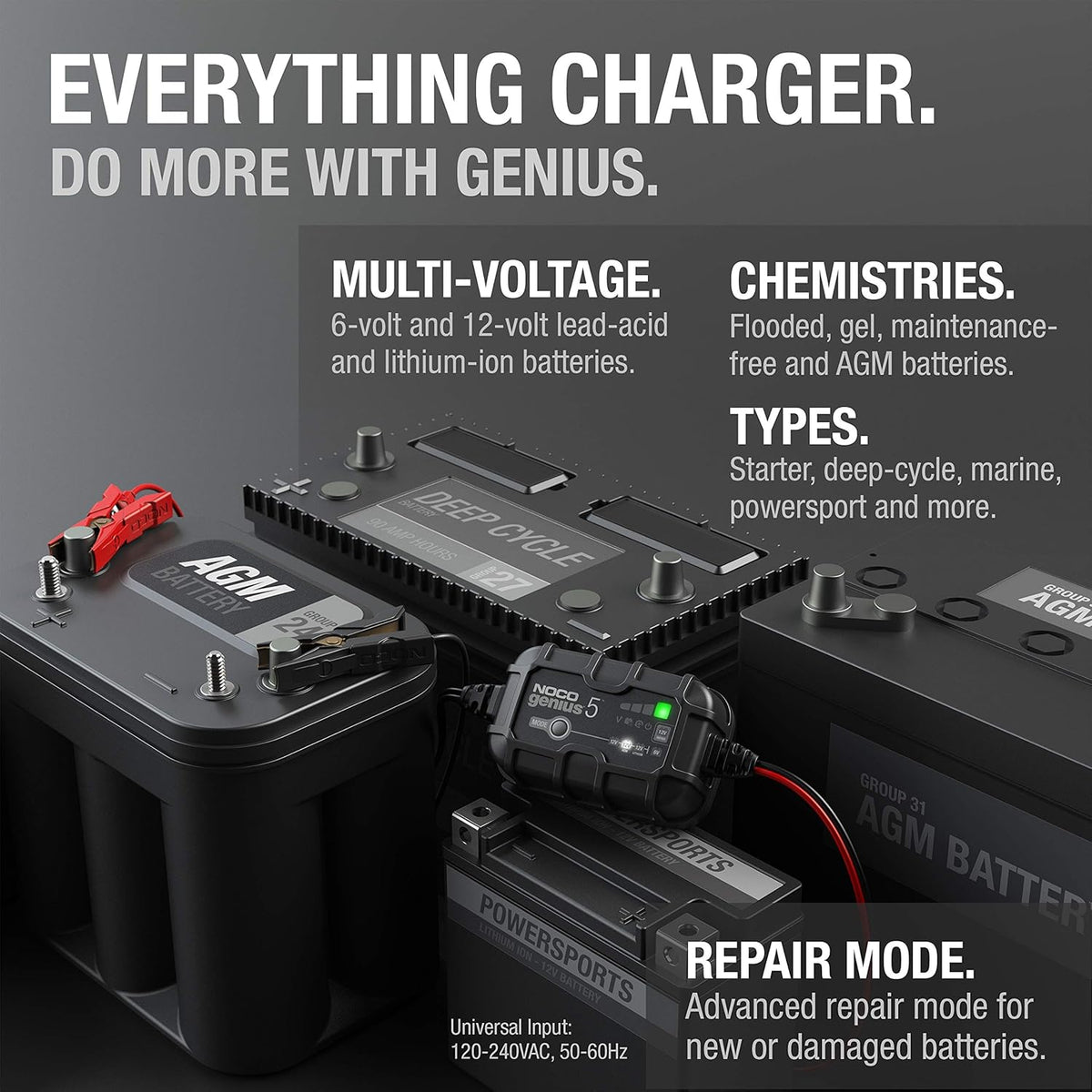 5-Amp Smart Battery Charger and Maintainer Pack of 2 C929