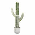 Rustic Cactus Succulent in Pot R1179