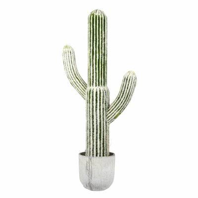 Rustic Cactus Succulent in Pot R1179