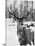 Black and White Deer in Winter Forest Canvas Print Wall Art E9028