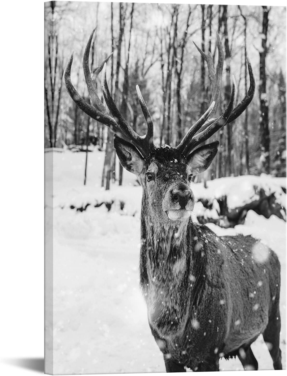 Black and White Deer in Winter Forest Canvas Print Wall Art E9028