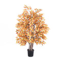 4& Golden Birch Extra Full S451534