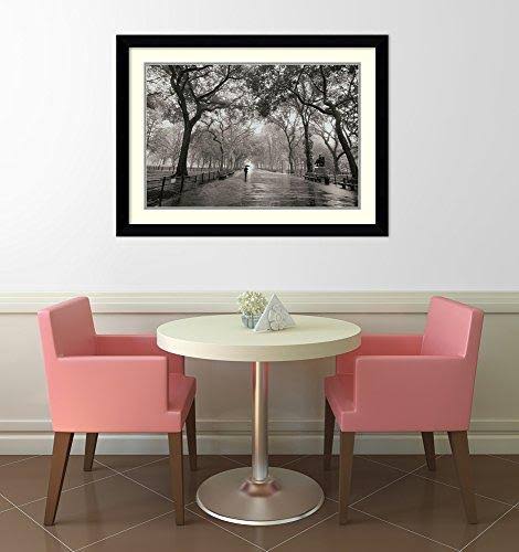 Framed Photographic Print Y561