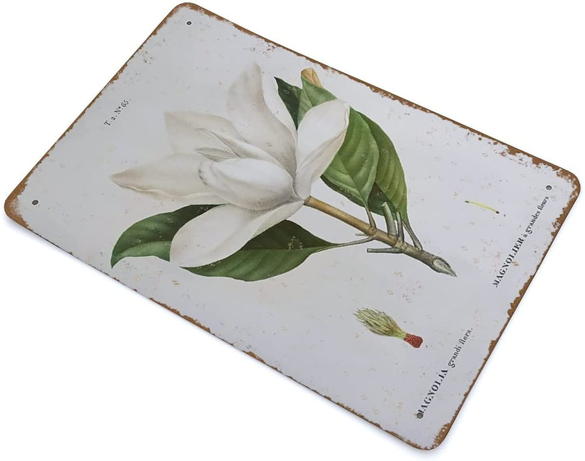 Vintage Botanical Tin Sign Wall Decor 8"x12" O441