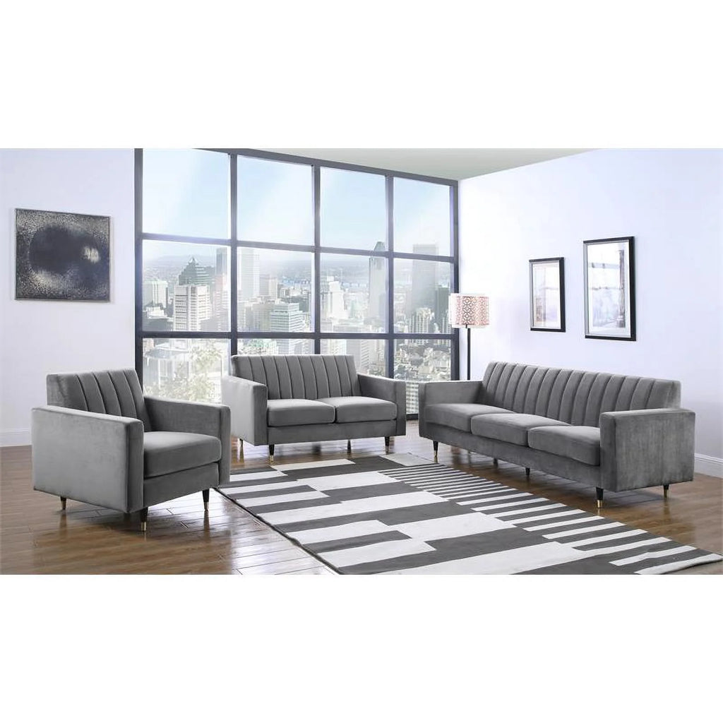 Contemporary Velvet Loveseat and Sofa T58771