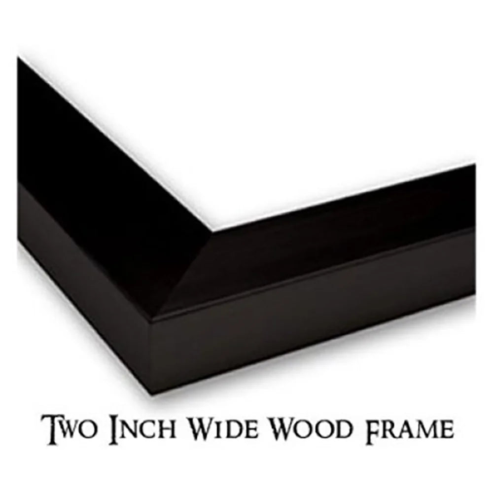 Black Modern Framed Museum Art Print K582