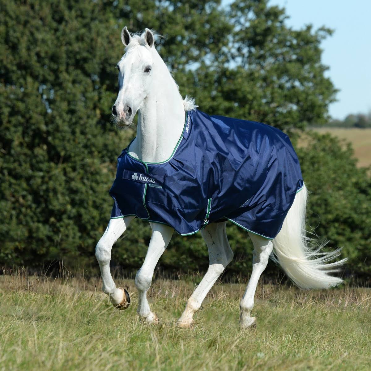 Smartex Medium Blue P512