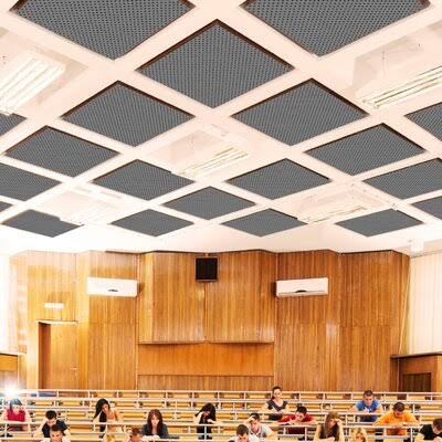 2 ft. x 2 ft. Drop-In Aluminum Ceiling Tile in Silver L417