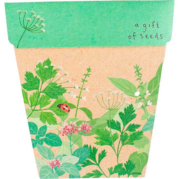 Herbs Seeds M4854
