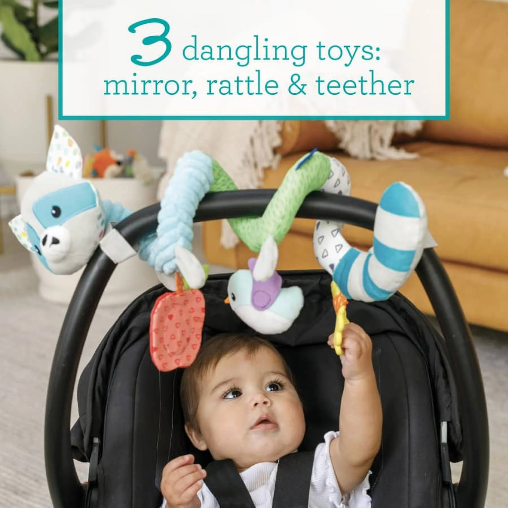Multicolor Raccoon Activity Toy D5583