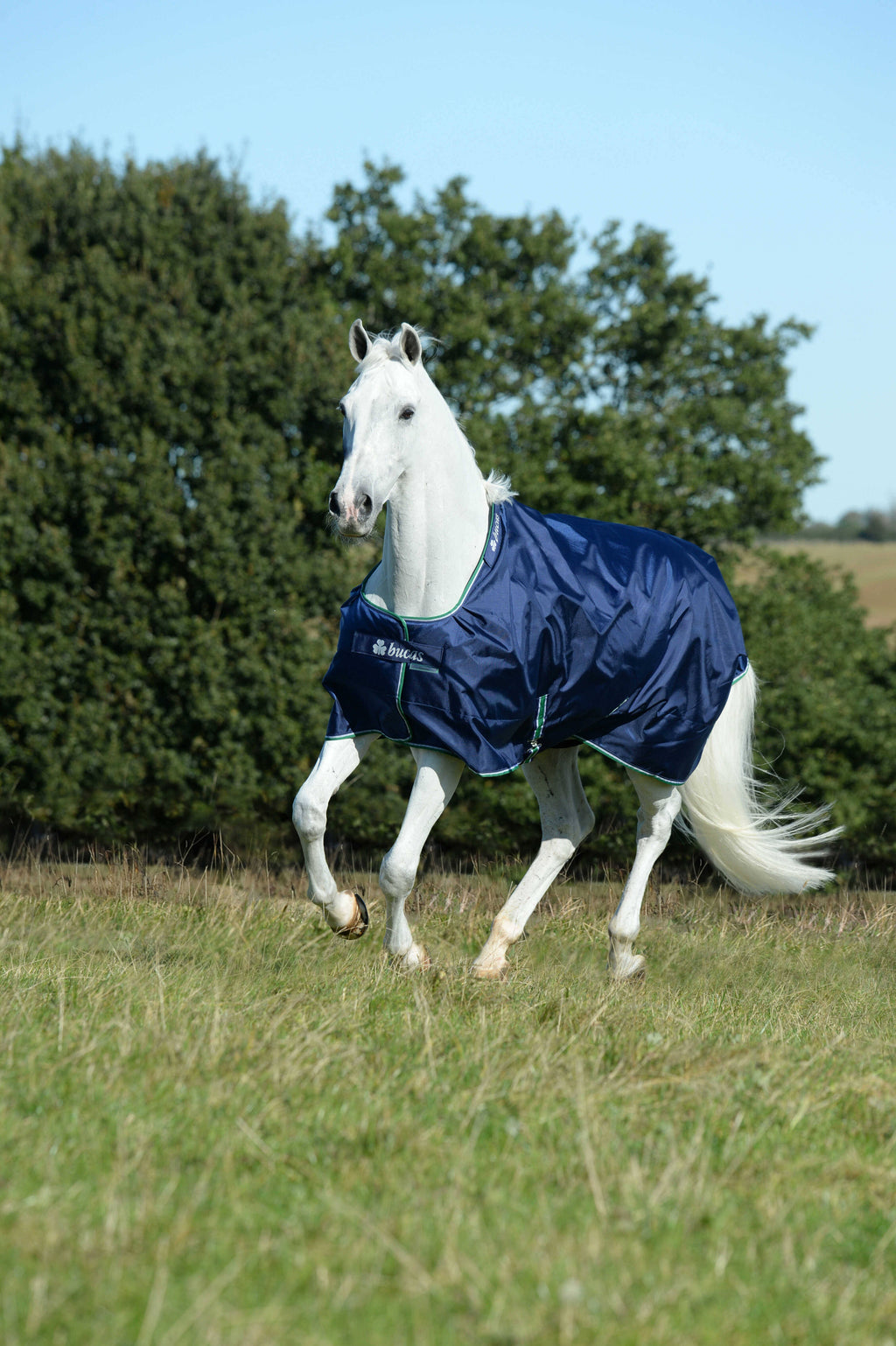 Smartex Medium Blue P512