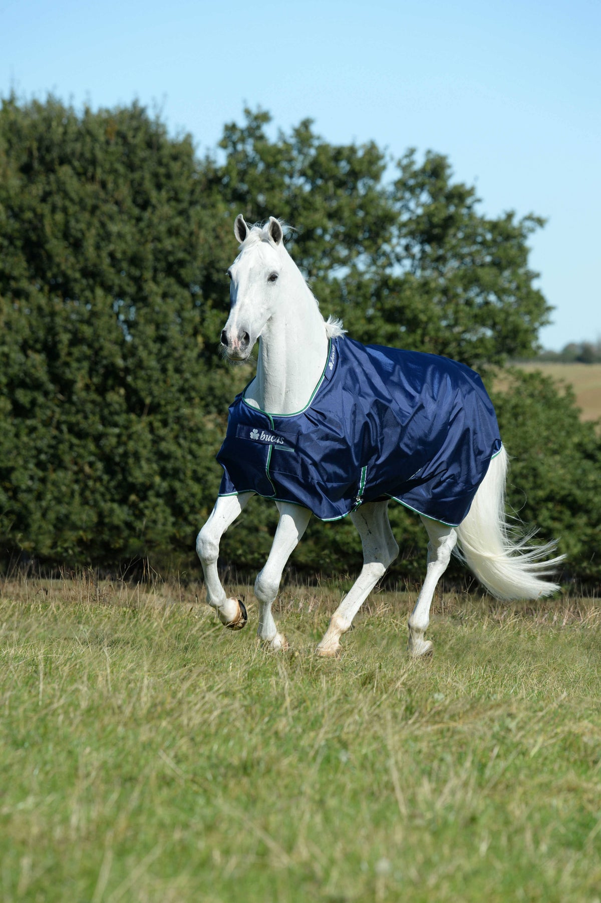 Smartex Medium Blue P512
