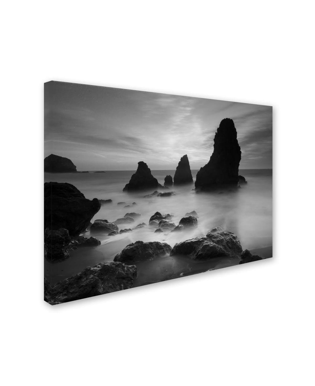 Black and White Canvas Art Z668