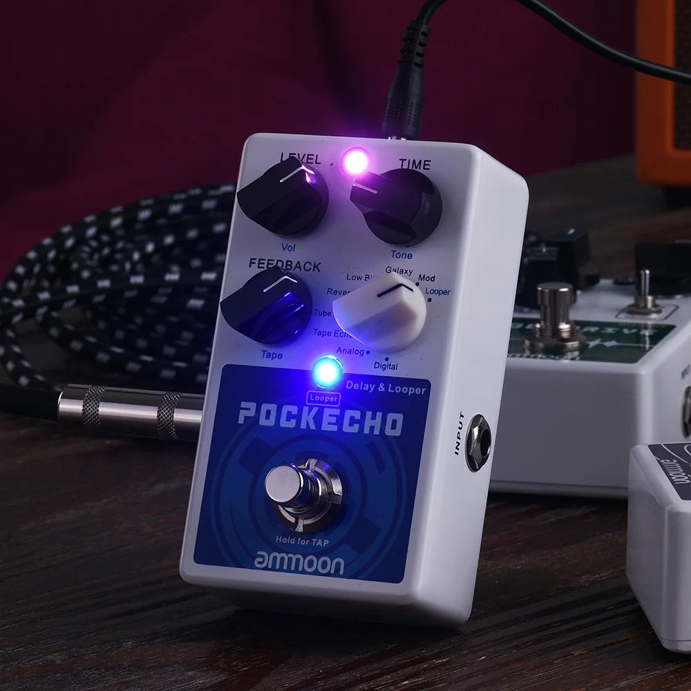 Delay & Looper Effect Pedal, 8 Delay Effects, 300s Loop Time, Tap Tempo, True Bypass E834