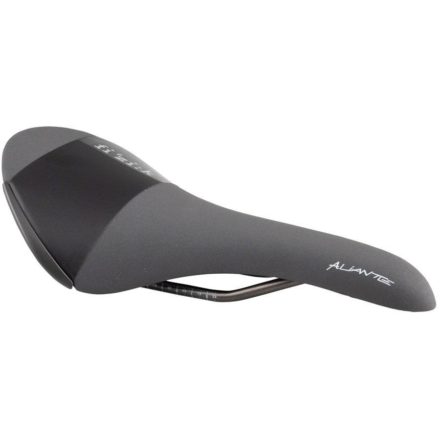Black Saddle Q13902