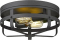 Industrial Close to Ceiling Light Fixture, Metal Cage Flush Mount Ceiling Light 13 Inch, 2-Light, Matte Black Finish M949577