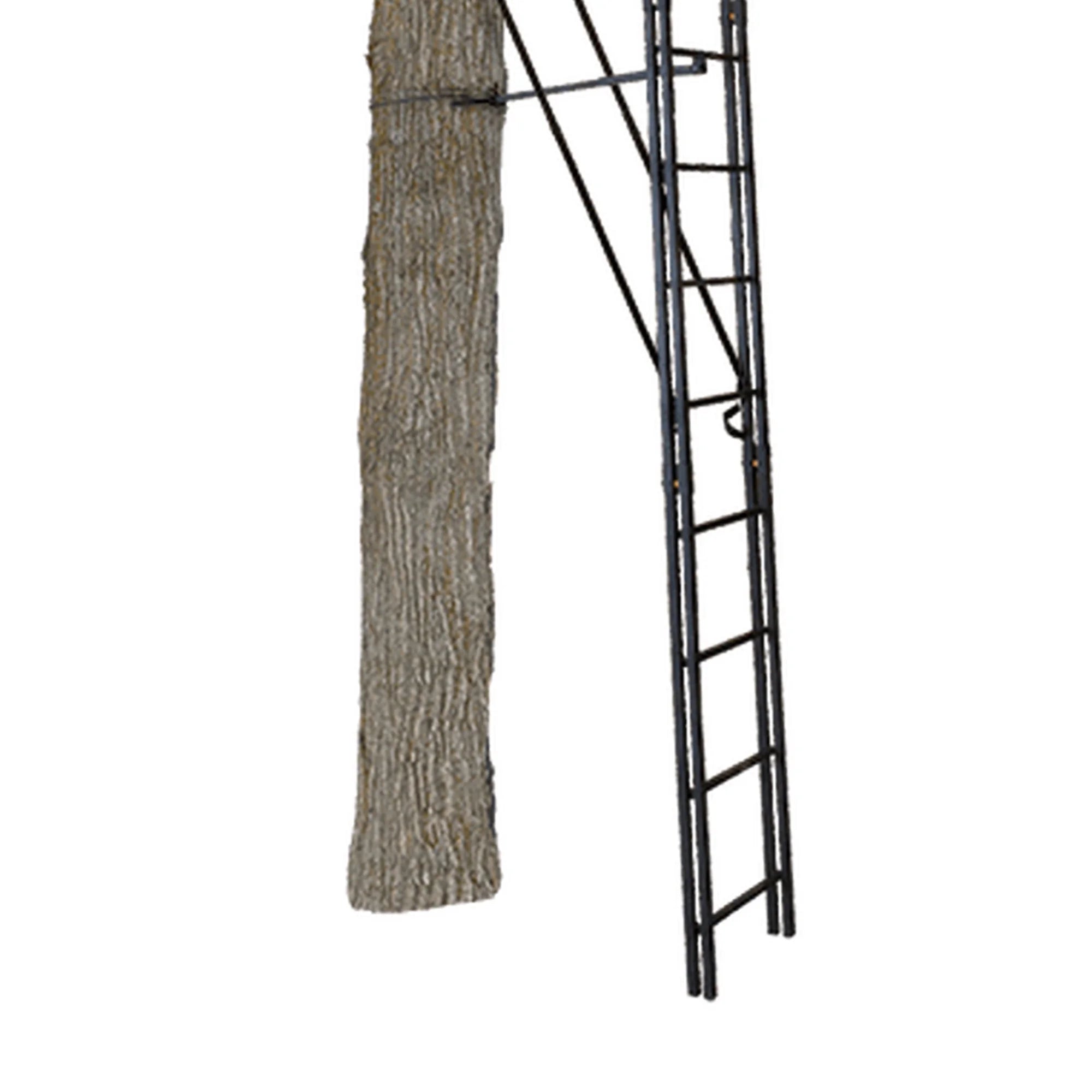 Black 20 Foot 1 Person Ladder Tree Stand C764109