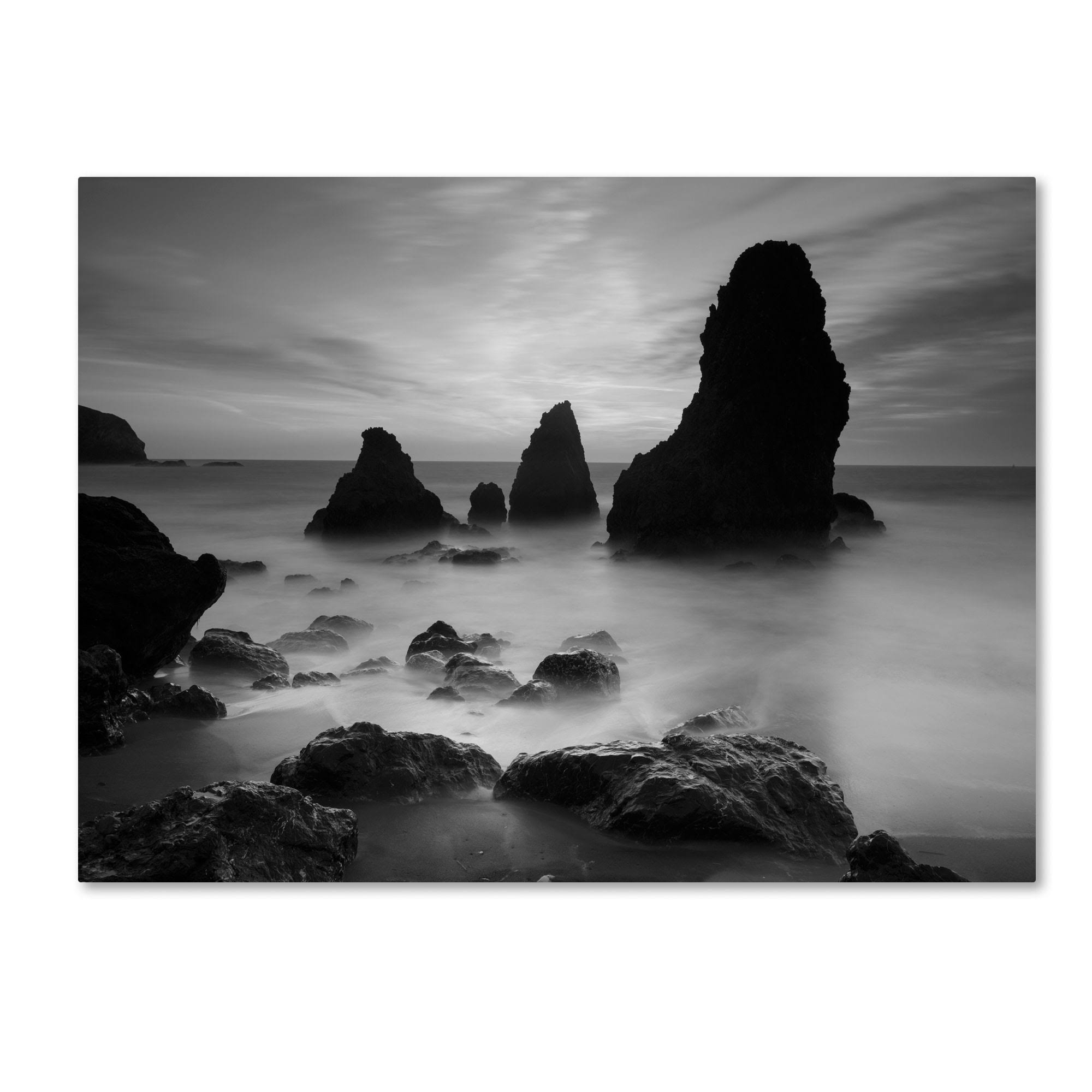 Black and White Canvas Art Z668