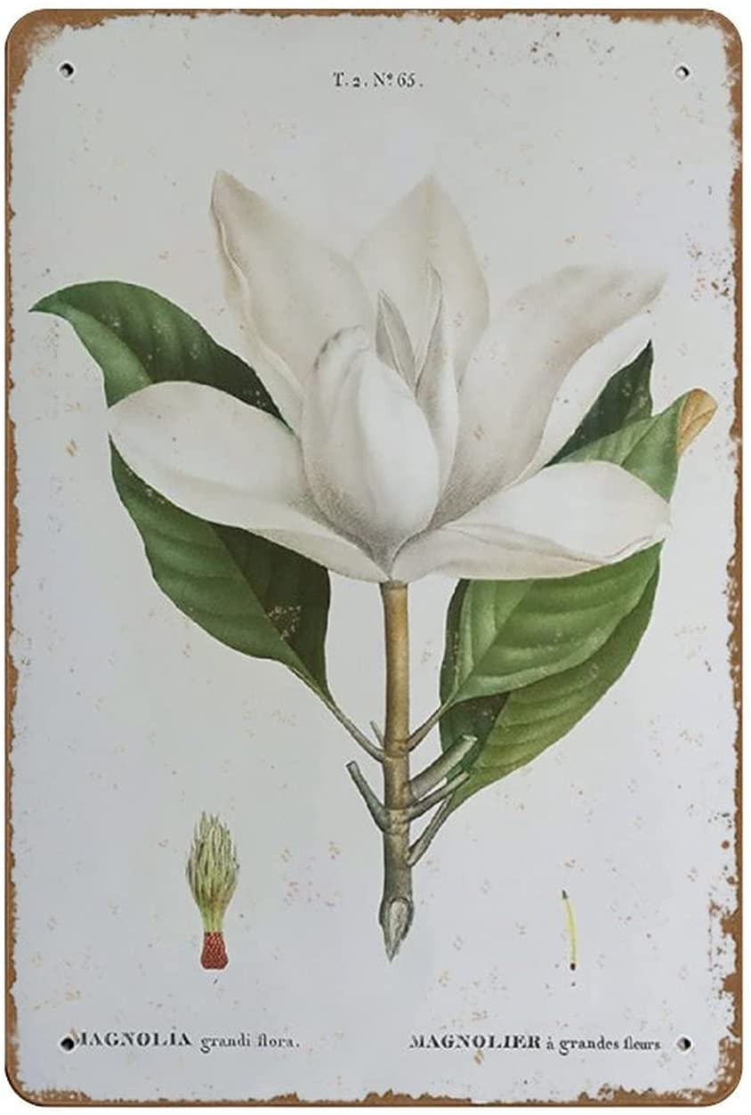 Vintage Botanical Tin Sign Wall Decor 8"x12" O441