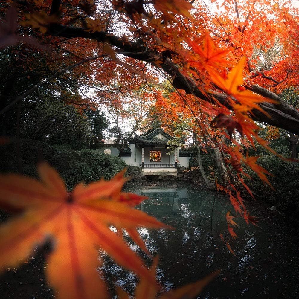 7.5mm F2.8 II Fisheye Lens E10403