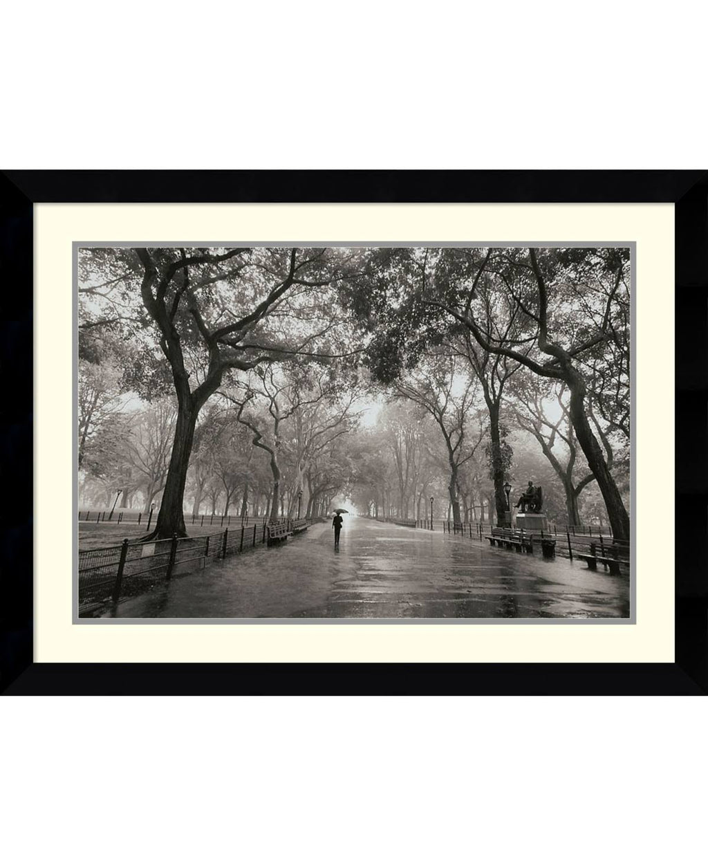 Framed Photographic Print Y561