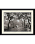 Framed Photographic Print Y561