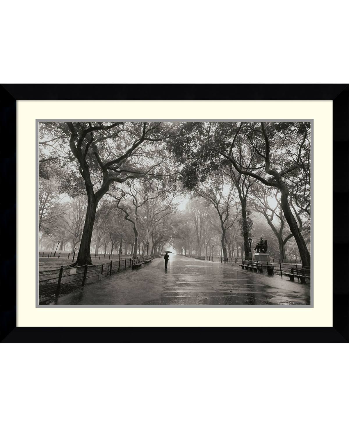 Framed Photographic Print Y561