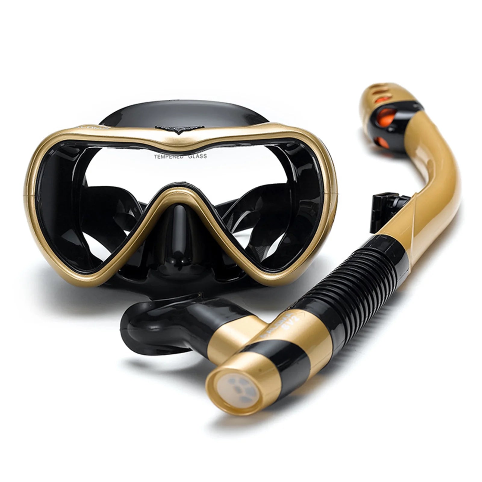 Snorkel Set with Swimming Goggles and Dry Snorkel Tube H2459