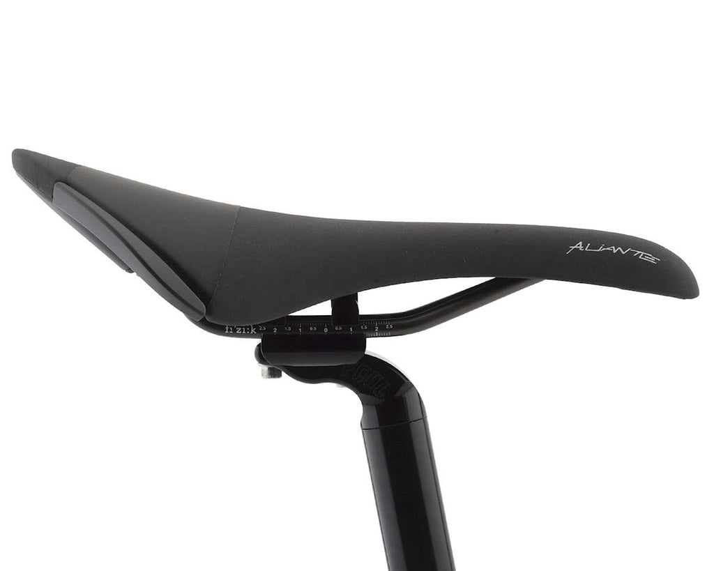 Black Saddle Q13902