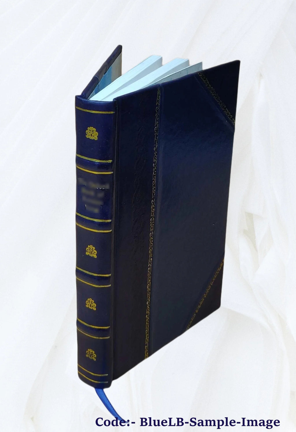 Leather Bound Book U470054