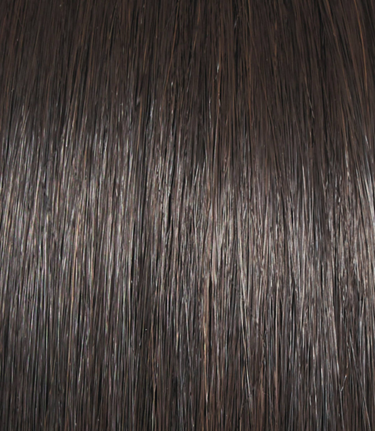 Glazed Hazelnut Synthetic Wig H5951