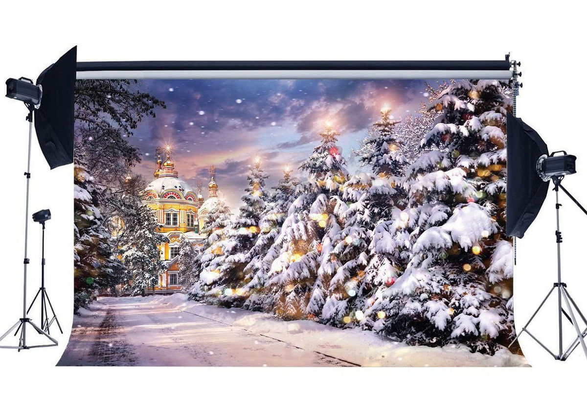 Christmas Snow Covered Landscape Pine Tree Forest Castle Backdrop G98018