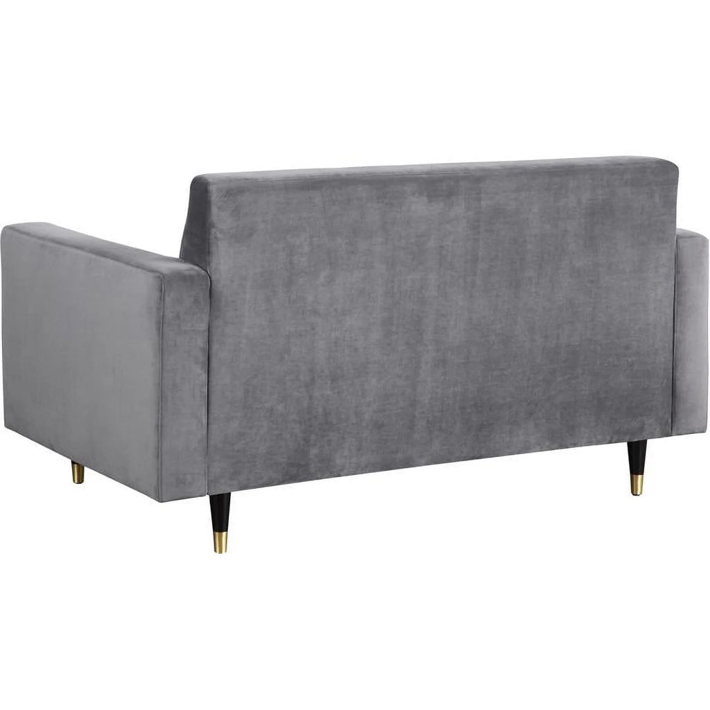 Contemporary Velvet Loveseat and Sofa T58771