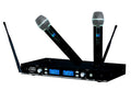Dual Channel Wireless System D152
