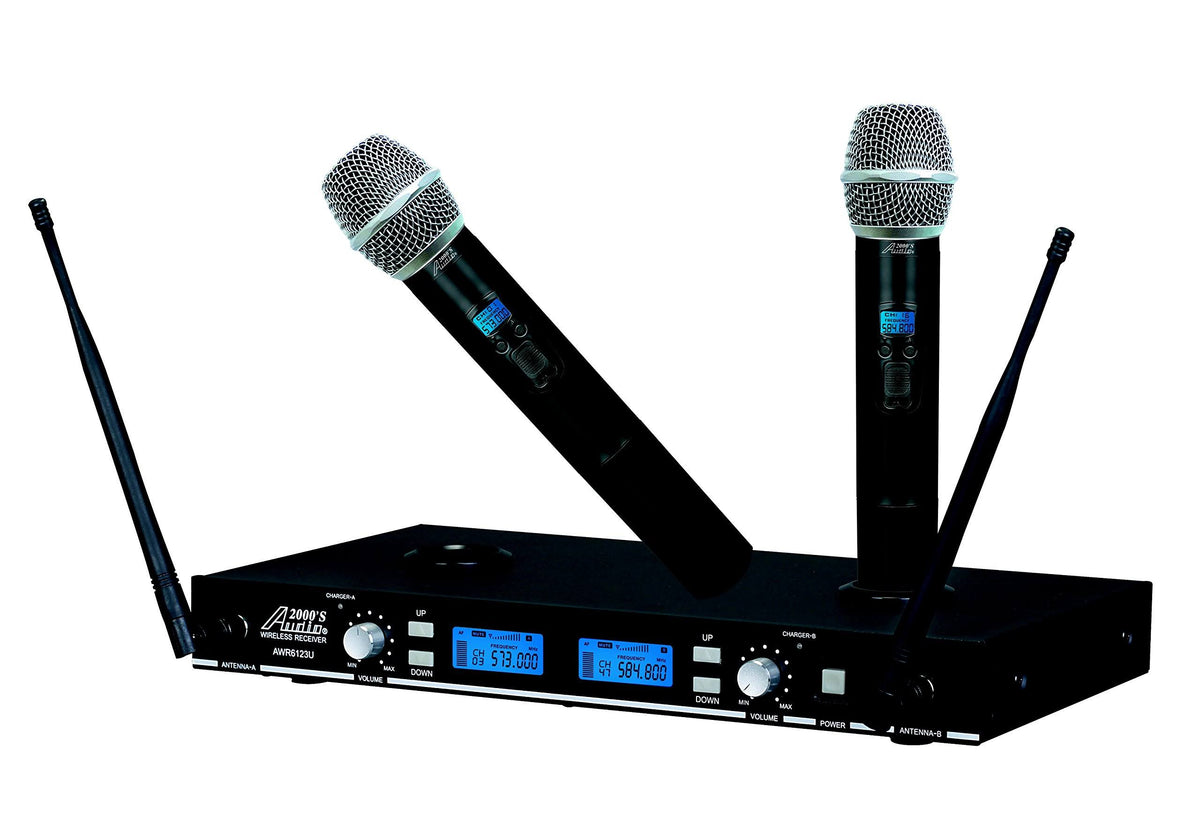 Dual Channel Wireless System D152