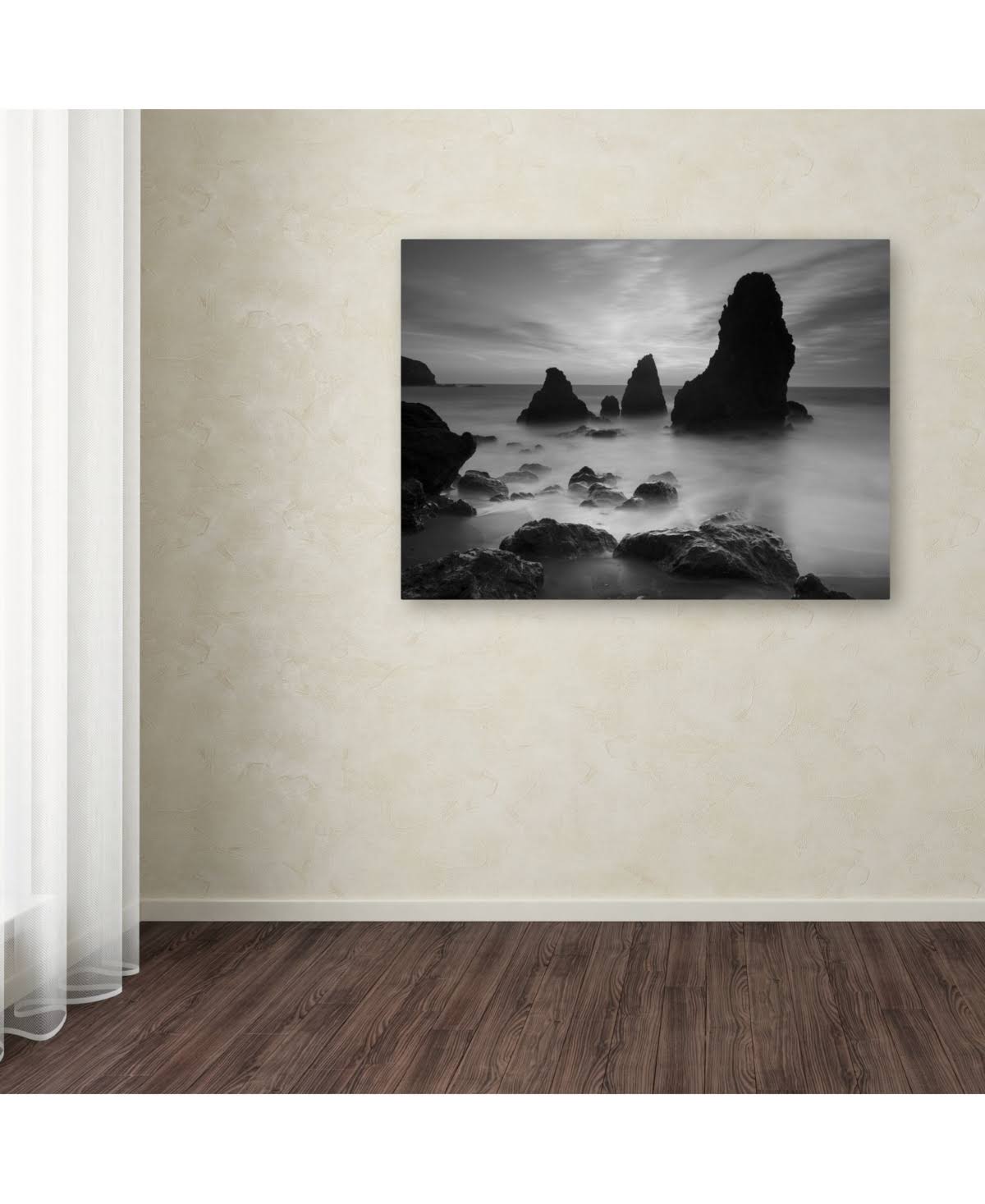 Black and White Canvas Art Z668