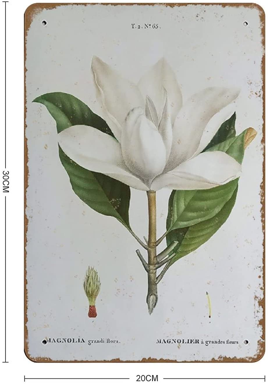 Vintage Botanical Tin Sign Wall Decor 8"x12" O441