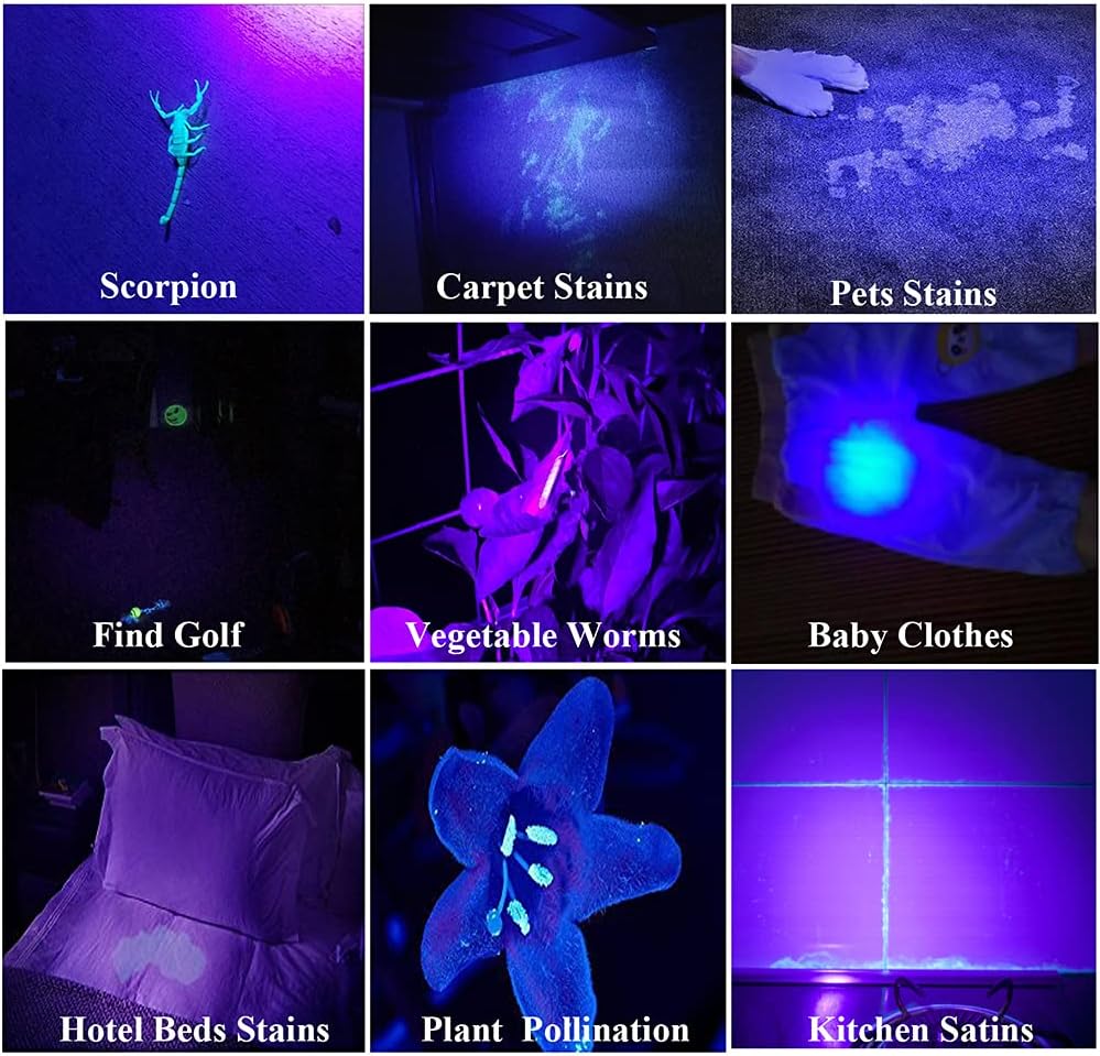 2 Pack Rechargeable UV Flashlight 385-395nm Z327780