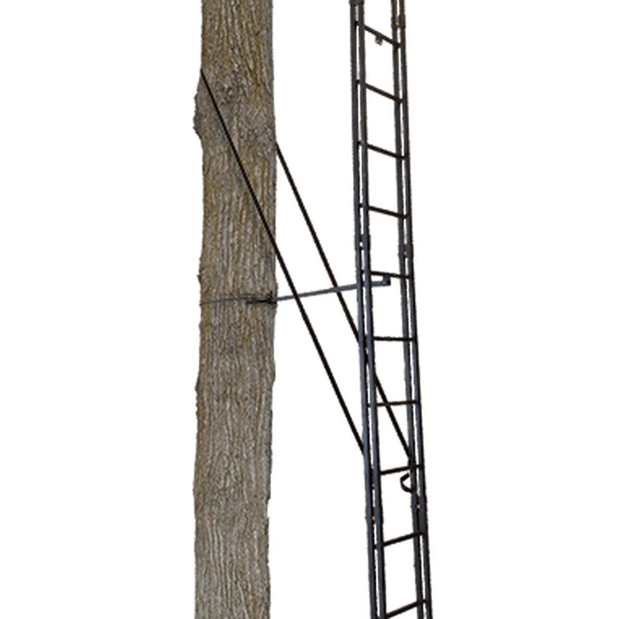Black 20 Foot 1 Person Ladder Tree Stand C764109