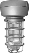 VP HID Ceiling 50W Metal Halide 120V Silver Globe Cast Guard G871531