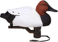 12-Volt Canvasback Swimmer Duck Decoy T58897