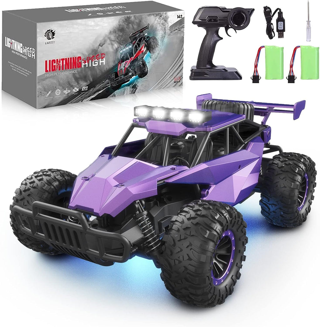 Purple 1:16 Scale Remote Control Car X558953